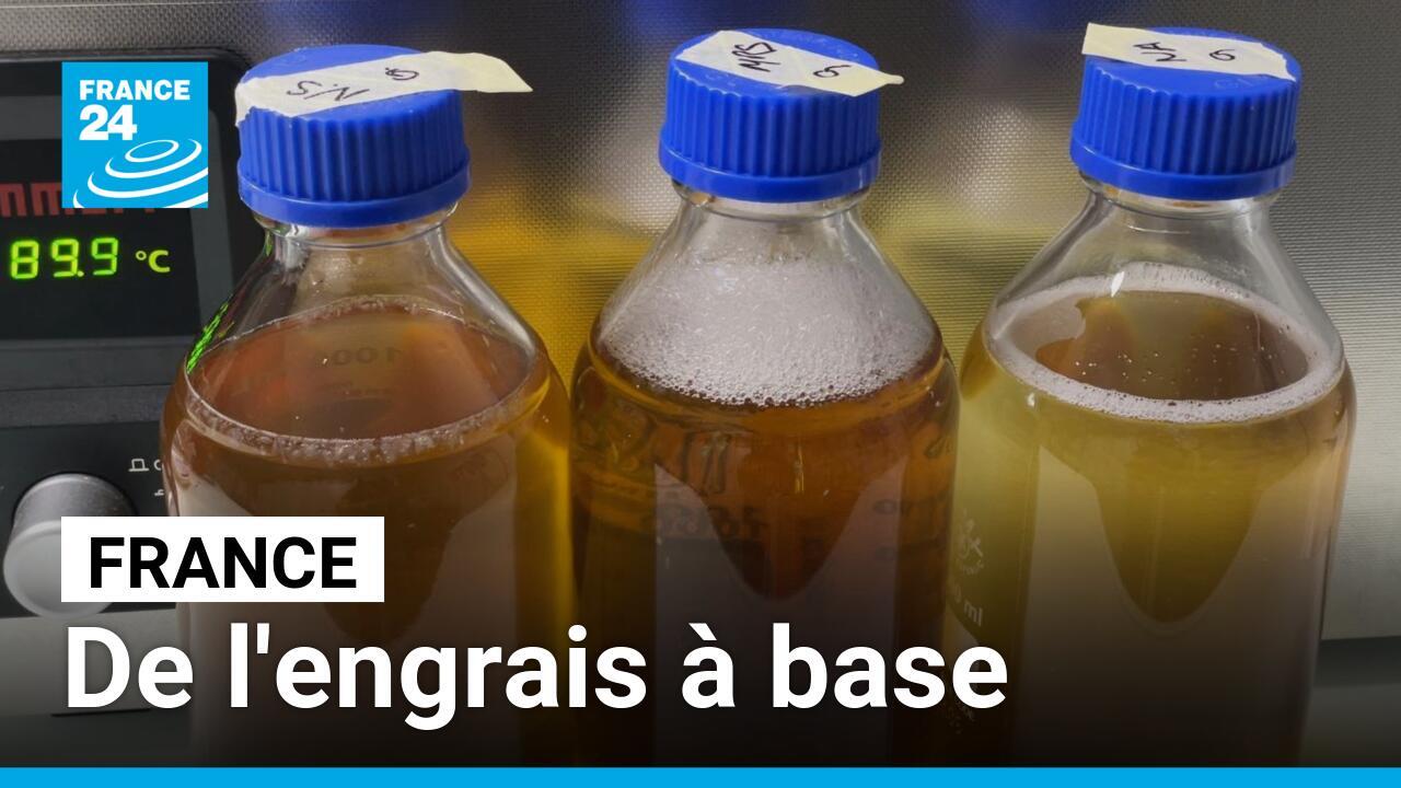 Recycler l’urine humaine pour l’agriculture, le pari d’une startup
